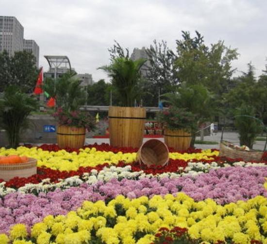 吉林 城市菊展设计