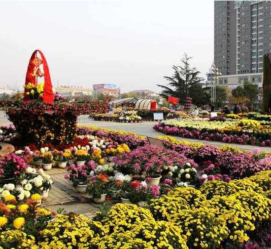 三明城市菊展设计